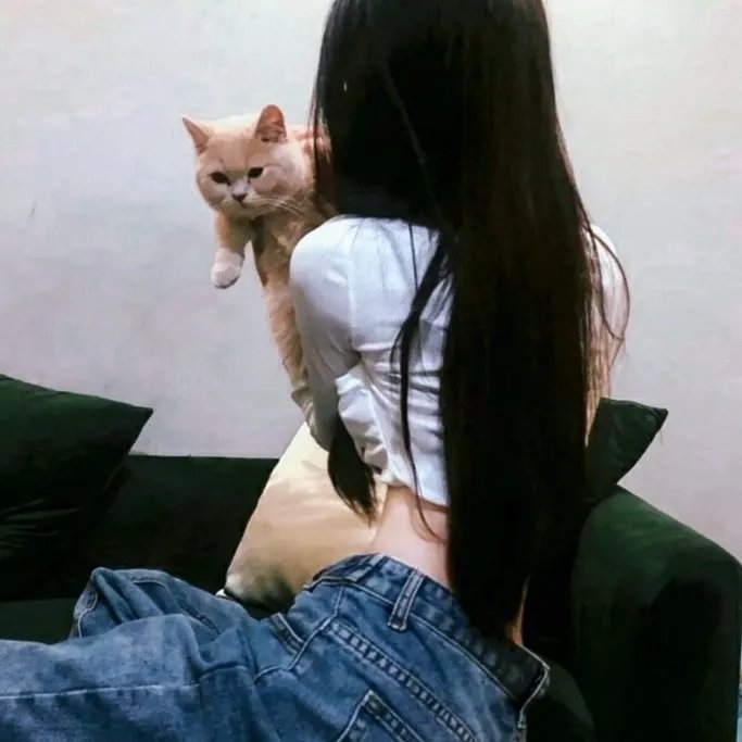 痞子逛沙漠